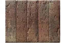 Кирпич керамический лицевой Braer-PRO 55.08.1 пустотелый одинарный