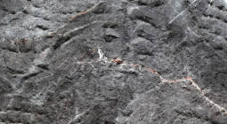 Гибкая керамика Phomi Devine Mushroom Stone Portoro 1200x600х3 мм